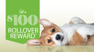 Gane 100 $** por reinvertir su 401(k) o IRA.